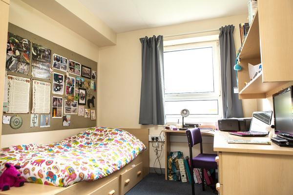 An ensuite bedroom in Alcuin College. Example room layout. Actual layout and furnishings may vary. 